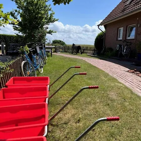 Tjarko Im Witte Sand,